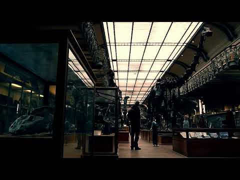 Vitrines